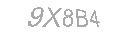 Güvenlik Kodu