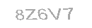 Güvenlik Kodu