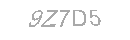 Güvenlik Kodu