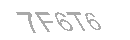 Güvenlik Kodu