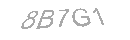 Güvenlik Kodu