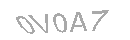 Güvenlik Kodu