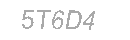 Güvenlik Kodu