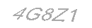 Güvenlik Kodu