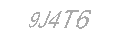 Güvenlik Kodu