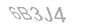 Güvenlik Kodu