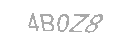 Güvenlik Kodu