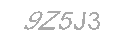 Güvenlik Kodu