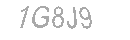 Güvenlik Kodu