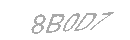 Güvenlik Kodu