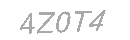 Güvenlik Kodu